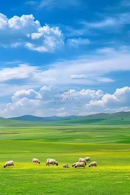 春天草甸草地山坡摄影图