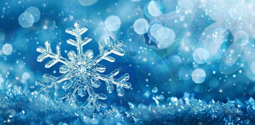 冬天雪花结冰寒冷大寒小寒大雪立冬冬至摄影图 冬天雪花结冰寒冷大寒小寒大雪立冬冬至摄影图