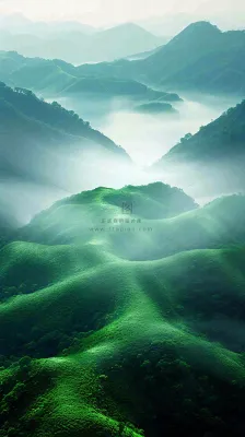 中国风高山绿植森林丛林,阳光蓝天白云,户外 中国风高山绿植森林丛林,阳光蓝天白云,户外