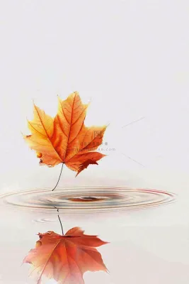 秋天枫叶掉落在水面倒影立秋秋分摄影图