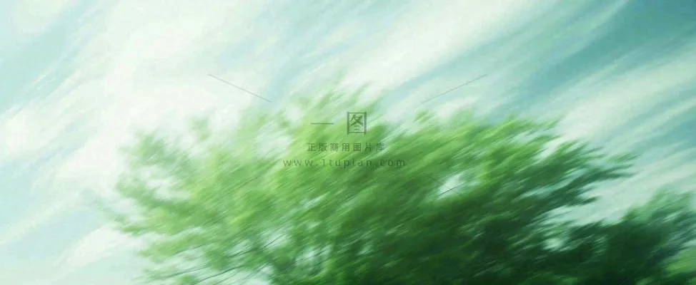 高山模糊绿树植物光影，大自然摄影图