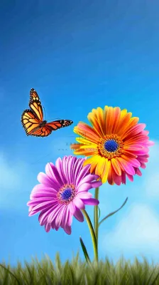 春天蓝天白云草坪鲜花，五彩缤纷鲜艳摄影图