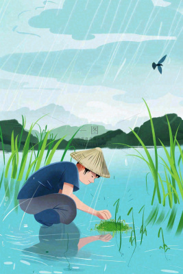 春耕农民种植水稻水田春雨燕子小满芒种春分卡通插画背景
