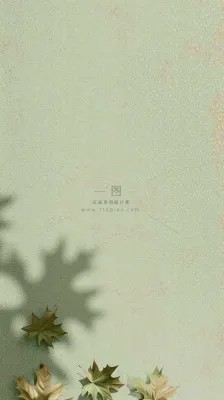 简约绿色叶子影子纹理