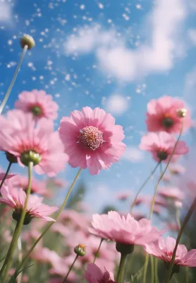 春夏蓝天白云花草绚丽摄影海报素材背景