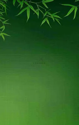 端午佳节竹子插画中国风绿色清雅静背景 端午佳节竹子插画中国风绿色清雅静背景