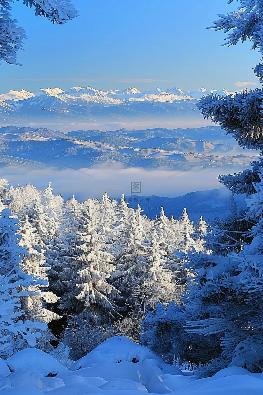 冬季森林雾凇山川摄影图