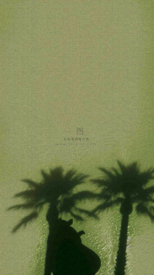 简约绿色叶子影子纹理 简约绿色叶子影子纹理