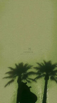 简约绿色叶子影子纹理 简约绿色叶子影子纹理