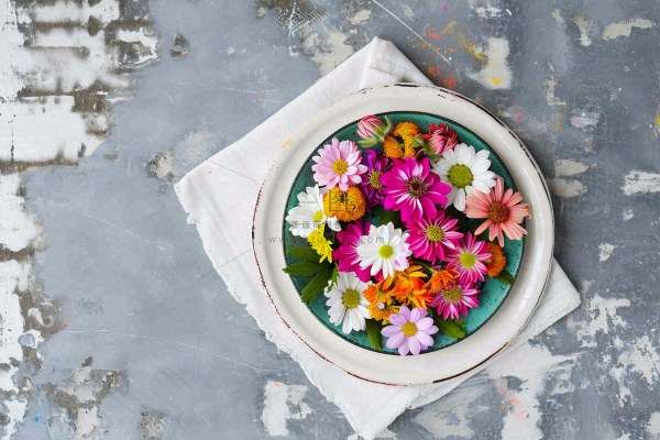 鲜花彩色花朵碟子摆盘简约摄影图 鲜花彩色花朵碟子摆盘简约摄影图