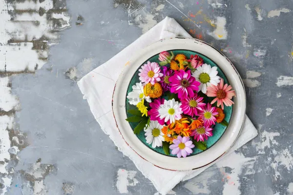 鲜花彩色花朵碟子摆盘简约摄影图 鲜花彩色花朵碟子摆盘简约摄影图