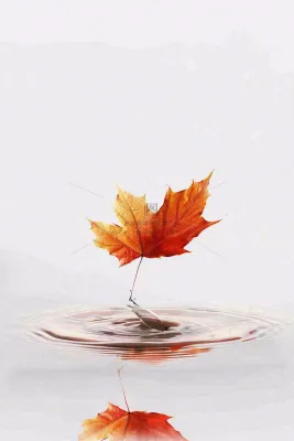 秋天枫叶掉落在水面倒影立秋秋分摄影图