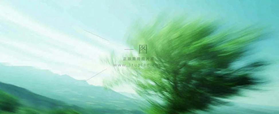 高山模糊绿树植物光影，大自然摄影图