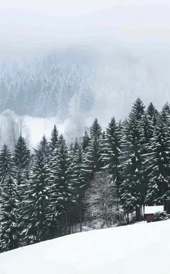 冬天寒冷白雪结冰小寒摄影图 冬天寒冷白雪结冰小寒摄影图