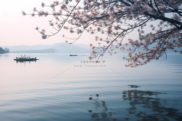 湖水很平静，上面有树枝和花朵，还有一艘船摄影图桌面壁纸