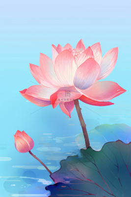 简约清新淡粉色荷花背景 简约清新淡粉色荷花背景