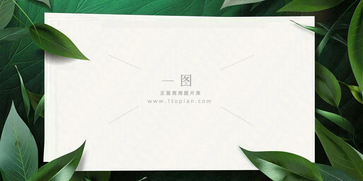 绿叶粽叶绿色边框白色信封端午节插画背景