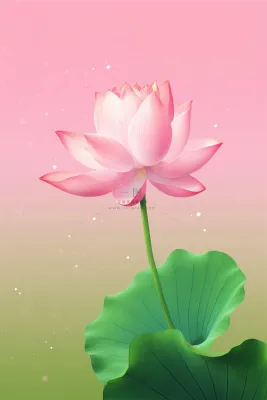 清爽创意粉色荷花节气海报背景 清爽创意粉色荷花节气海报背景