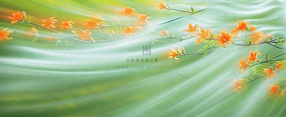 橙色鲜花意境流水渐变朦胧背景