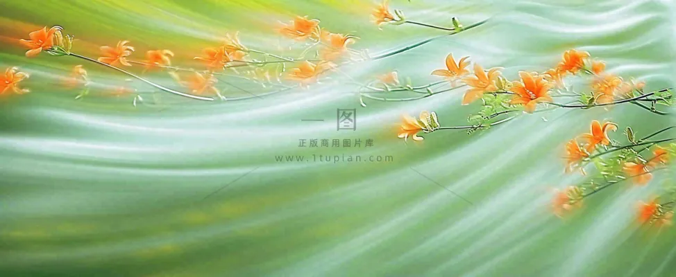橙色鲜花意境流水渐变朦胧背景