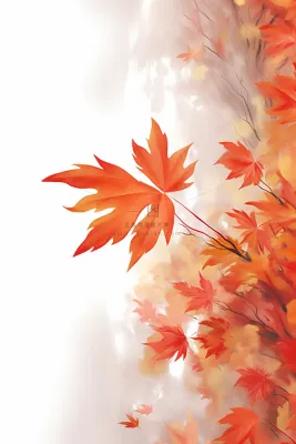 秋叶橙红色意境大气背景 秋叶橙红色意境大气背景