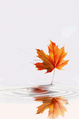 秋天枫叶掉落在水面倒影立秋秋分摄影图