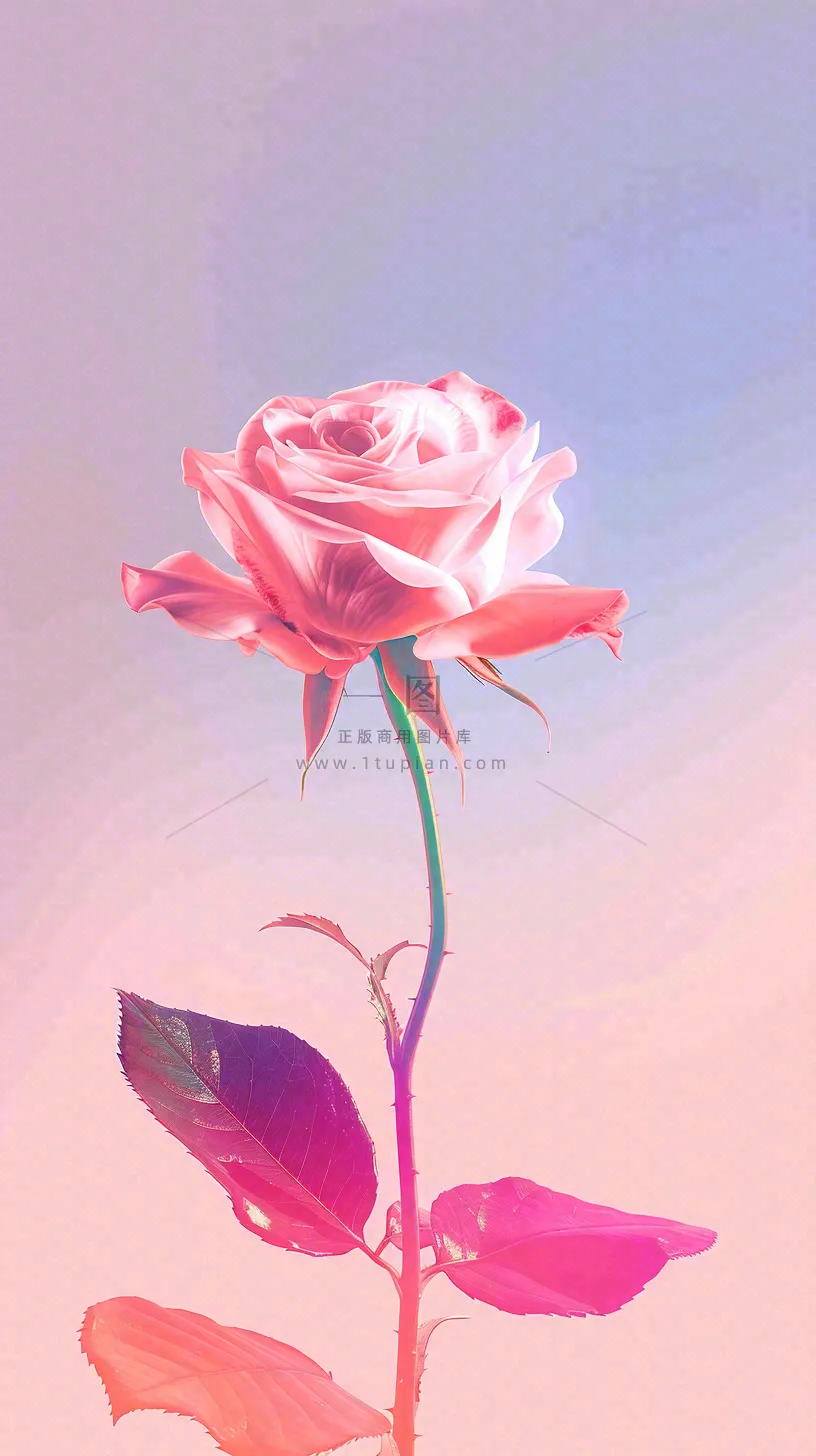 渐变玫瑰花创意插画情人节背景