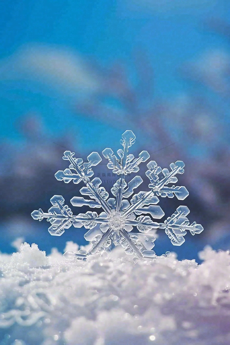 冰天雪地里的透明雪花白雪立冬小寒大寒冬至摄影图/