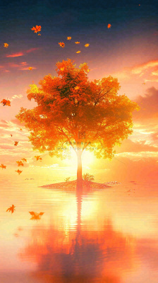 秋天树木的秋叶在河面上飘扬，金黄色温馨，秋分