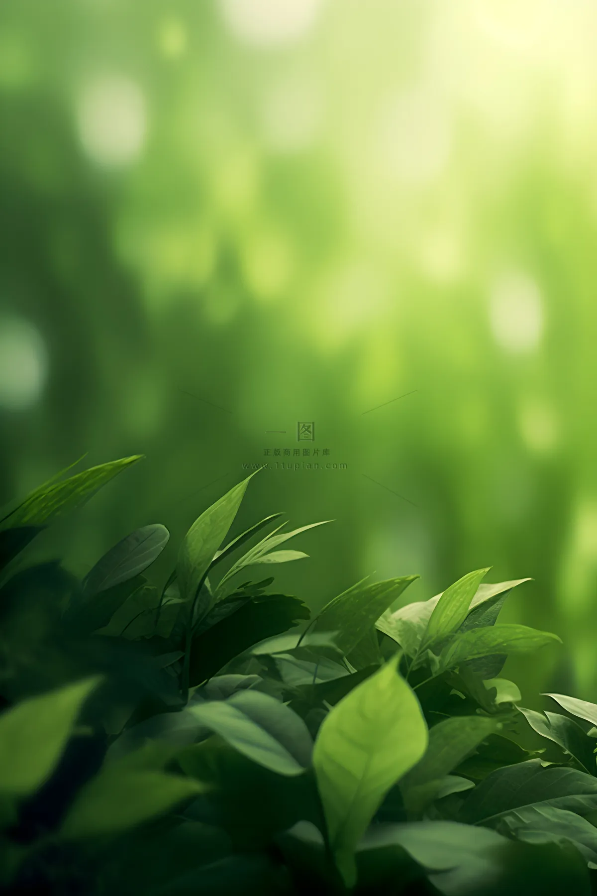 简约树叶丛林小草绿色简约背景