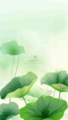 夏天荷花荷叶清凉小清新淡雅立夏夏至暑插画背景 夏天荷花荷叶清凉小清新淡雅立夏夏至暑插画背景