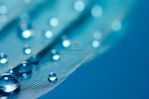 露珠蓝色清新大气背景 露珠蓝色清新大气背景