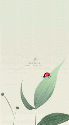 春天国风插画绿叶上的昆虫惊蛰插画背景 春天国风插画绿叶上的昆虫惊蛰插画背景