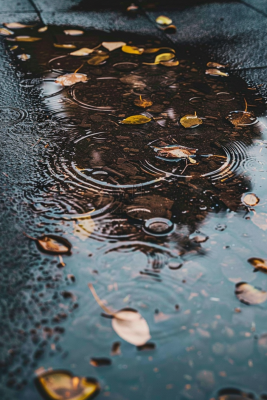 金秋下雨天的路面水洼落叶摄影图