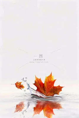 秋天枫叶掉落在水面倒影立秋秋分摄影图