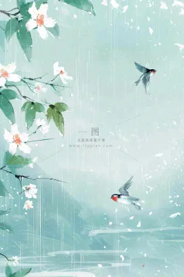春天梅雨季山间燕子白花花朵雨水谷雨惊蛰寒露水墨插画背景 春天梅雨季山间燕子白花花朵雨水谷雨惊蛰寒露水墨插画背景