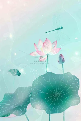 夏天小清新荷花荷叶静雅弥散风绿粉色蜻蜓立夏夏至处暑插画背景