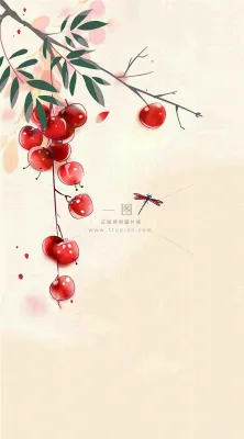 秋天挂满果实的树枝秋收水彩国画插画立秋秋分背景 秋天挂满果实的树枝秋收水彩国画插画立秋秋分背景