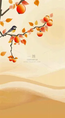 秋冬柿子树上的小鸟黄色插画霜降背景
