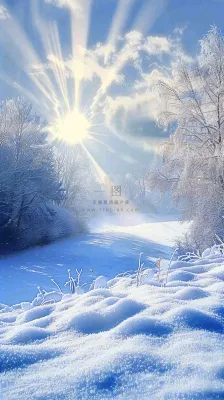 冬天东北森林白雪覆盖阳光小寒大寒大雪摄影图