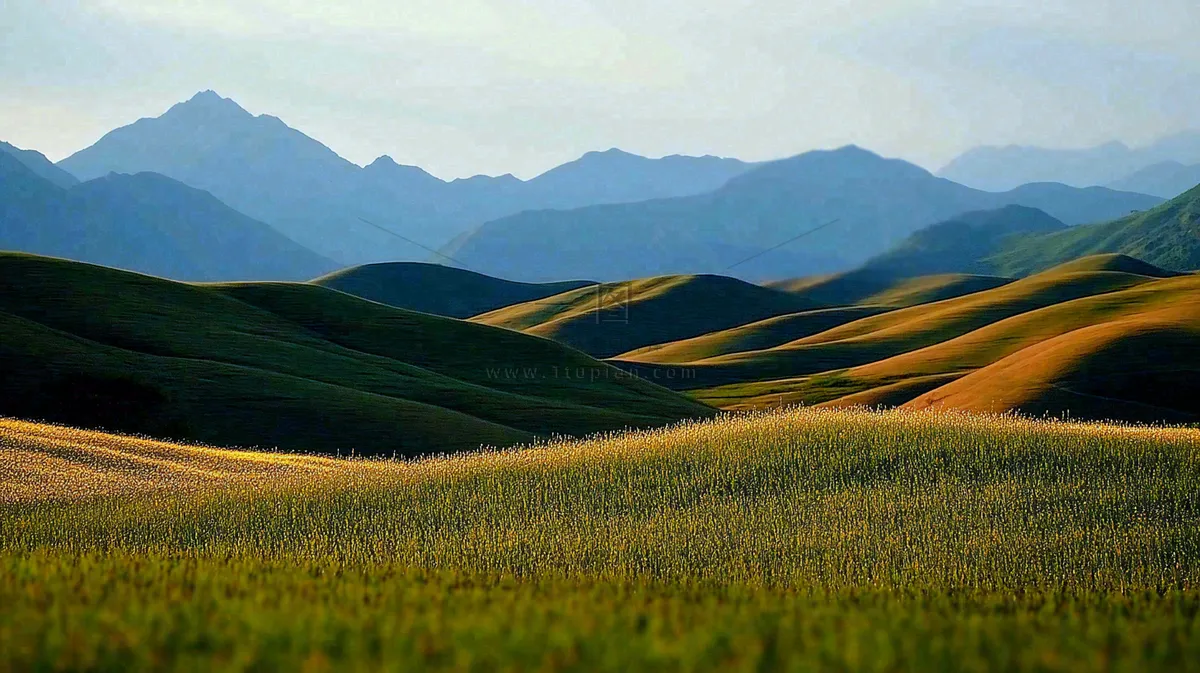 立秋高山草甸黄色山峦风景摄影图