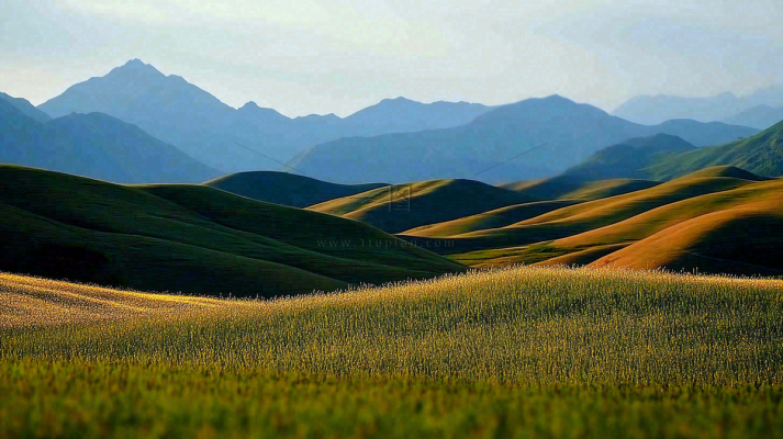 立秋高山草甸黄色山峦风景摄影图 立秋高山草甸黄色山峦风景摄影图