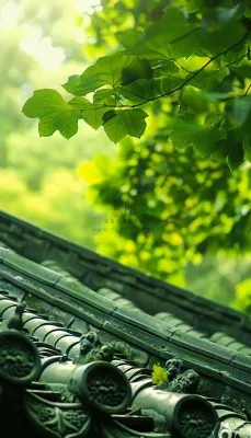 夏天大树绿荫屋檐小清新唯美大暑处暑摄影图 夏天大树绿荫屋檐小清新唯美大暑处暑摄影图