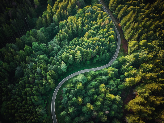 森林环山公路绿意摄影图