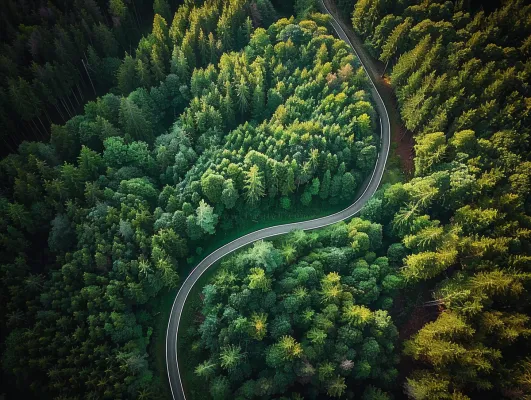 森林环山公路绿意摄影图