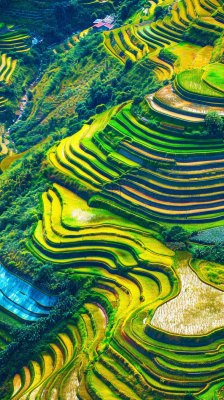 春天唯美绿色梯田种植,乡村小屋,谷雨摄影图 春天唯美绿色梯田种植,乡村小屋,谷雨摄影图