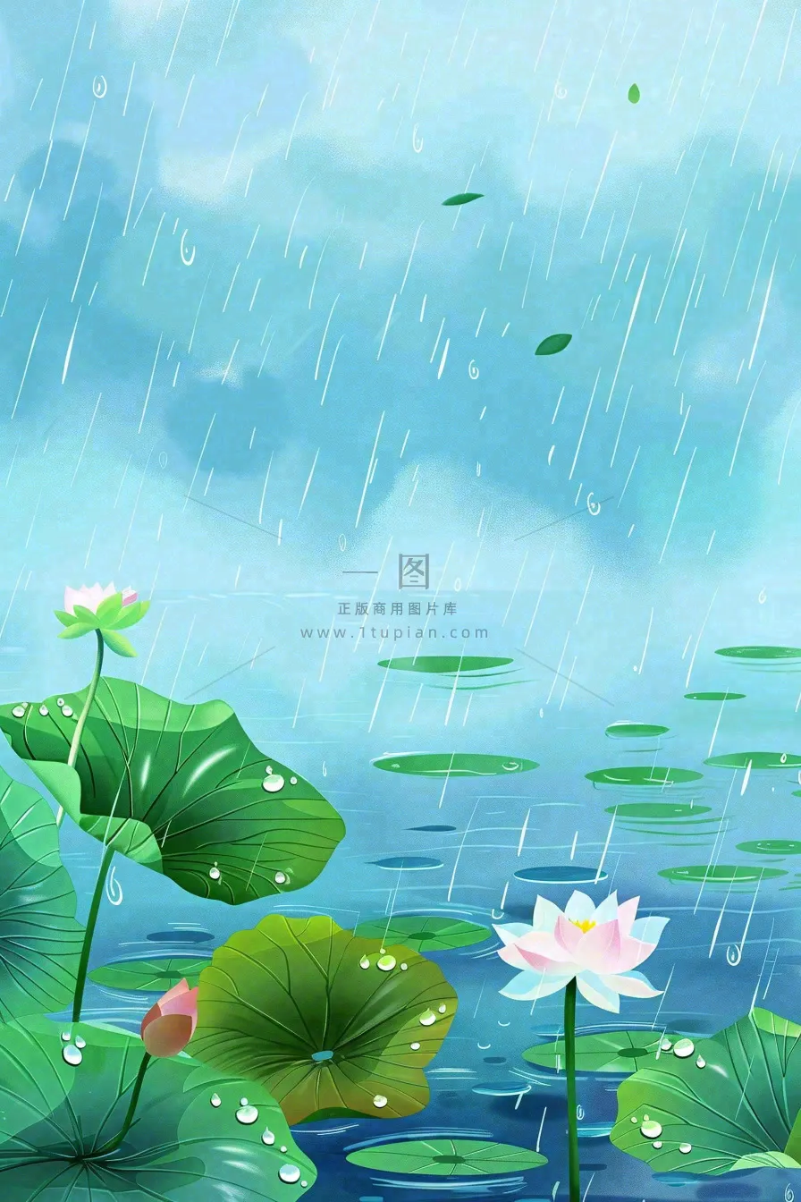 春天下雨天池塘荷花荷叶清凉雨水谷雨处暑插画背景