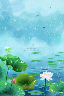 春天下雨天池塘荷花荷叶清凉雨水谷雨处暑插画背景 春天下雨天池塘荷花荷叶清凉雨水谷雨处暑插画背景