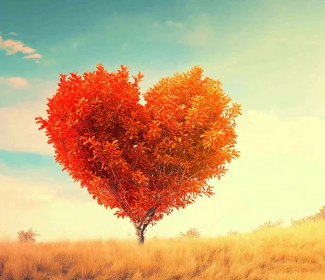 秋天爱心树木橙红色落叶蓝天温馨