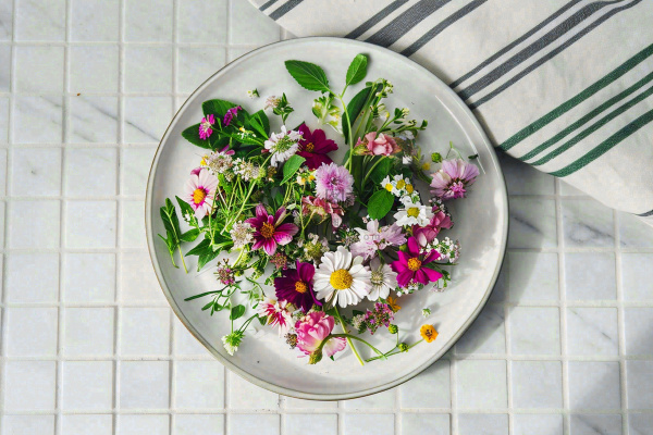鲜花彩色花朵碟子摆盘简约摄影图 鲜花彩色花朵碟子摆盘简约摄影图